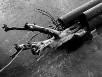 川島清　Kiyoshi KAWASHIMA