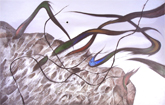 池田龍雄 「場の位相 09-Ⅱ」 2009　アクリル、ミクストメディア、パネル　103×160cm