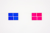 額田宣彦 "white belt (F1-1)" "white belt (F1-2)" 2013