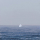 向山裕 「事実」 2013
MUKOYAMA Yutaka "Fact"