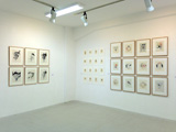 会場風景 / Installation view