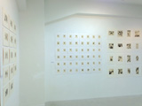 会場風景 / Installation view
