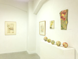 会場風景 / Installation view