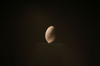 平野恵子　HIRANO Keiko
「floating stone」 2015