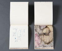 詩画集「《稲妻捕り》 Elements」