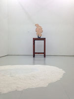 会場風景 / Installation view