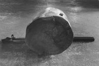 川島清　Kiyoshi KAWASHIMA
「水量－樹のプラズマ」 2016-2017