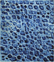 一原有徳　ICHIHARA Arinori
「SAF」 1977