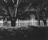 humanité bis
外久保恵子写真展　SOTOKUBO Keiko
「NIGHT WINDS WHISPER TO ME」
2018.11.12（月）‐11.24（土）