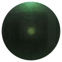 豊海健太　TOYOUMI Kenta
「Jewel Beetle 01」　2021