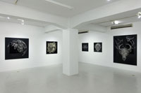 会場風景 / Installation view