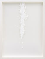 関仁慈　SEKI Hitoshi
「-Unwritten law_2010003_Plant-」　2021