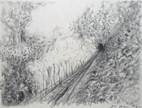 戸谷成雄　TOYA Shigeo
「Untitled」　1993