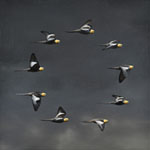 向山裕展　「鳥類・騎行」
MUKOYAMA Yutaka　"Aves, Chevauchee
"2025.5.12（月）‐5.24（土）