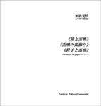 加納光於展パンフレット　表紙