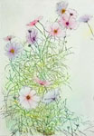 「安井寿磨子展　花野にて」
2022.8.22（月）‐9.10（土）
ギャルリプチボワ